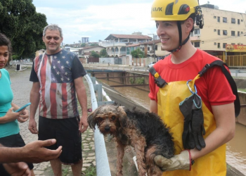 Fogos de artifício assustam cachorro que é resgatado em córrego no Grã-Duquesa