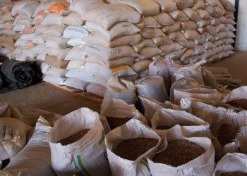 Governo inicia compra para o Programa de Aquisição de Alimentos