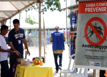 Casos de dengue no Brasil caem 60% nas primeiras semanas do ano