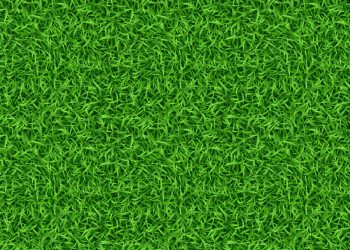 Jogadores fazem campanha nas redes sociais contra gramados sintéticos