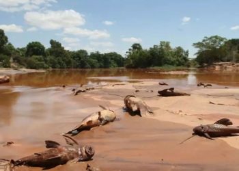 Samarco antecipará recursos da reparação para municípios que aderirem até quinta-feira