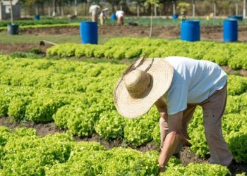Agricultores familiares devem atualizar cadastro CAF para receber indenização
