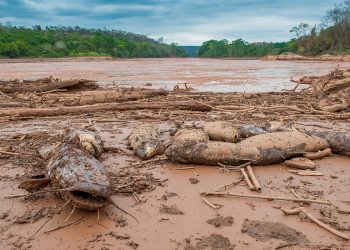 Samarco lança plataforma para indenizar vítimas da tragédia de Mariana