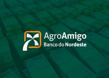 Perspectivas para 2025 e a responsabilidade de manter o Nordeste crescendo acima da média nacional