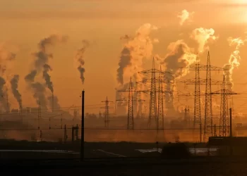 ONU confirma 2024 como o ano mais quente em 175 anos