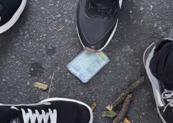 Perdeu documentos durante o Carnaval? Saiba como solicitar a segunda via nos canais oficiais do Governo de Minas