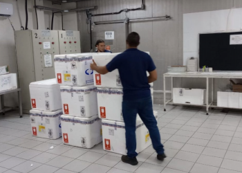 Minas Gerais inicia distribuição de 640 mil doses da vacina contra a Influenza