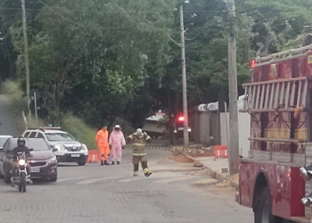 Mulher em situação de rua morre após ataque de abelhas na Avenida Brasil