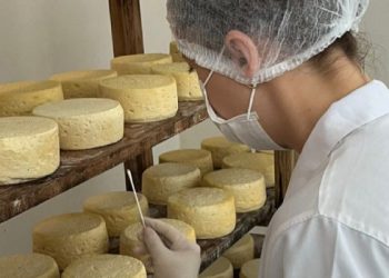 Estudo inédito vai mapear o ‘DNA’ do Queijo Minas Artesanal do Serro