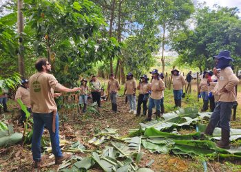 Curso gratuito oferece 35 vagas para produção de alimentos agroecológicos