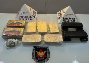 Polícia prende motorista transportando drogas na BR-259 em Valadares