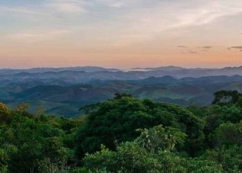 Minas lidera criação de reservas