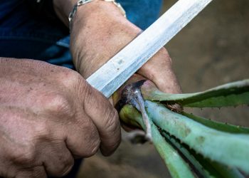 Trabalhadores do Jequitinhonha sofrem entre miséria e quase escravidão