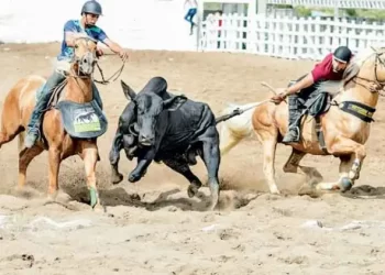STF confirma emenda constitucional que validou prática da vaquejada