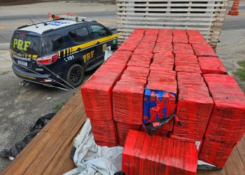 PRF apreende cerca de 1 tonelada de maconha na BR-381