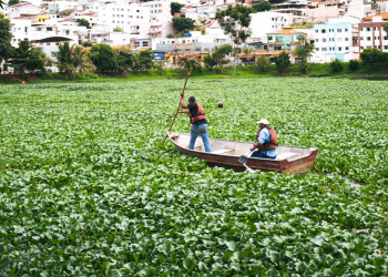 Limpeza da lagoa do Jardim Pérola deve ser concluída ainda em abril, diz Prefeitura