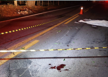 Motociclista perde controle da moto após bater em galhos e morre atropelado na BR-259