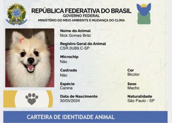 RG para pets: SinPatinhas mais direitos, deveres e organização nos  condomínios