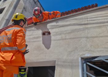 Gato é salvo de local confinado por militares do Corpo de Bombeiros