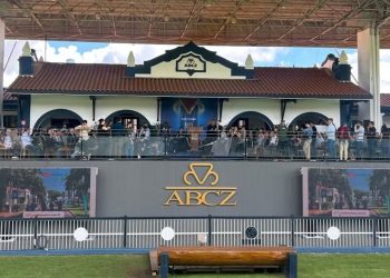 ExpoZebu com cifras expressivas