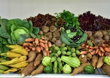 Banco de Alimentos de Valadares será apresentado como case de sucesso em seminário no Chile