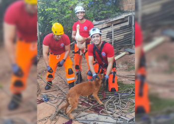 O cachorro e a pata um resgate de 20 metros de profundidade em Valadares