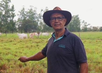 Pecuaristas do Norte de Minas investem em leilões