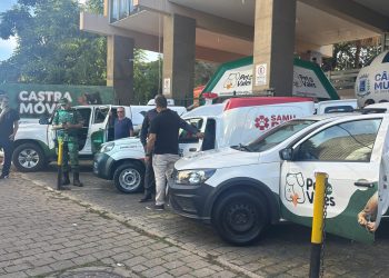 PET Saúde GV: conheça a iniciativa que promete promover avanços no bem-estar animal