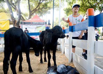 54ª edição da ExpoAgro GV promete unir tradição e inovação