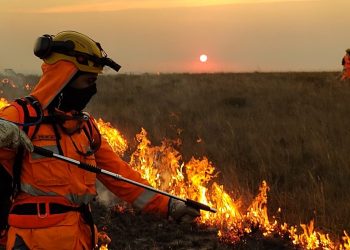 Previsão de inverno chuvoso traz alívio e alerta para produtores rurais