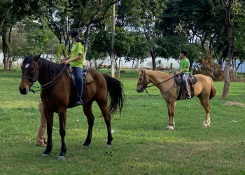 Prefeitura retoma atendimento de Equoterapia no Parque de Exposições