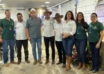 Sindicato Rural encerra participação na ExpoAgro GV com leilão de corte