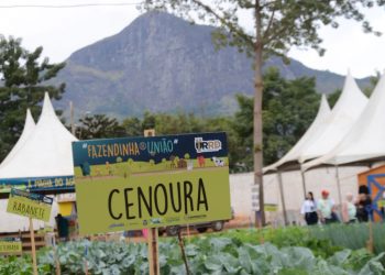 Fazendinha União leva experiência rural e educação ambiental à ExpoAgro GV