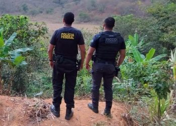 Operação foca em grupo criminoso que atuava no tráfico de drogas em Valadares