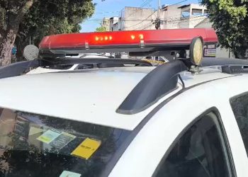 Cão é resgatado de dentro de carro sob sol forte