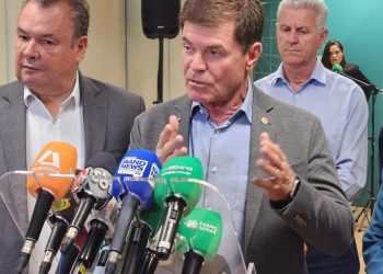 PIB do agronegócio mineiro alcança R$ 235 bilhões em 2024