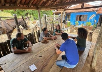 Intercâmbio quer impulsionar formalização das queijarias do Vale do Suaçuí