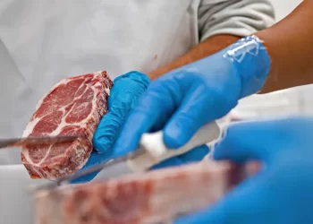 Brasil vai exportar carne bovina para Indonésia