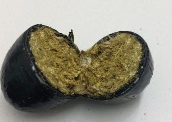 Homem é flagrado com drogas escondidas no ânus ao tentar visitar preso