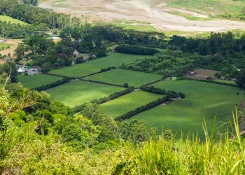 ITR 2025: Função Extrafiscal, Peculiaridades e as Novas Regras para Declarar