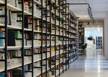 Secretaria de Cultura promove consulta pública da Política Nacional Aldir Blanc