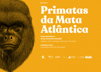 Exposição “Primatas da Mata Atlântica” chega ao Instituto Terra
