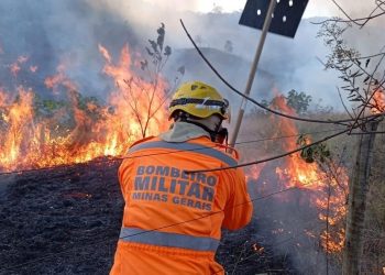 Bombeiros combatem incêndio florestal e salvam rebanho em propriedade rural de Água Boa