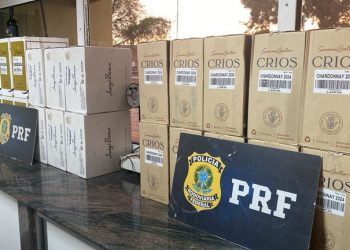 PRF apreende medicamentos contrabandeados do Paraguai com destino a Valadares na BR-381