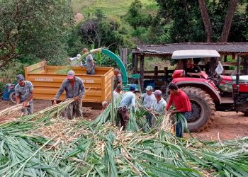 Sistema Faemg Senar e Sindicato Rural de Ipatinga oferecem cursos gratuitos no Vale do Aço
