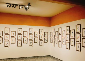 Exposição promove visita sensorial para pessoas com deficiência visual em Valadares