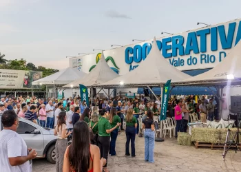 Cooperativa discute clima, inovação e sustentabilidade na produção rural