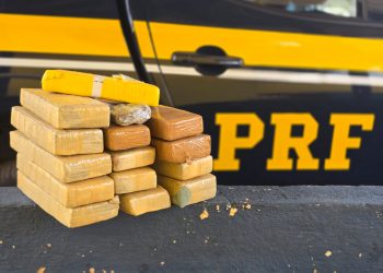 PRF apreende drogas na BR-262; entorpecentes seriam levados para Manhuaçu