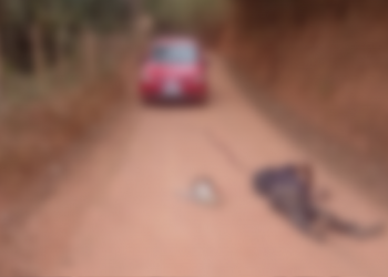 Trabalhador rural é assassinado a tiros no Norte de Minas