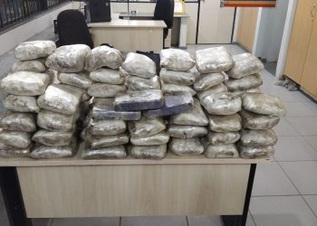 Casal é preso com 68 barras de haxixe e pasta base de cocaína em rodovia de Valadares